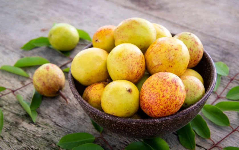 Mangaba: a Fruta Símbolo de Sergipe que Você Precisa Experimentar
